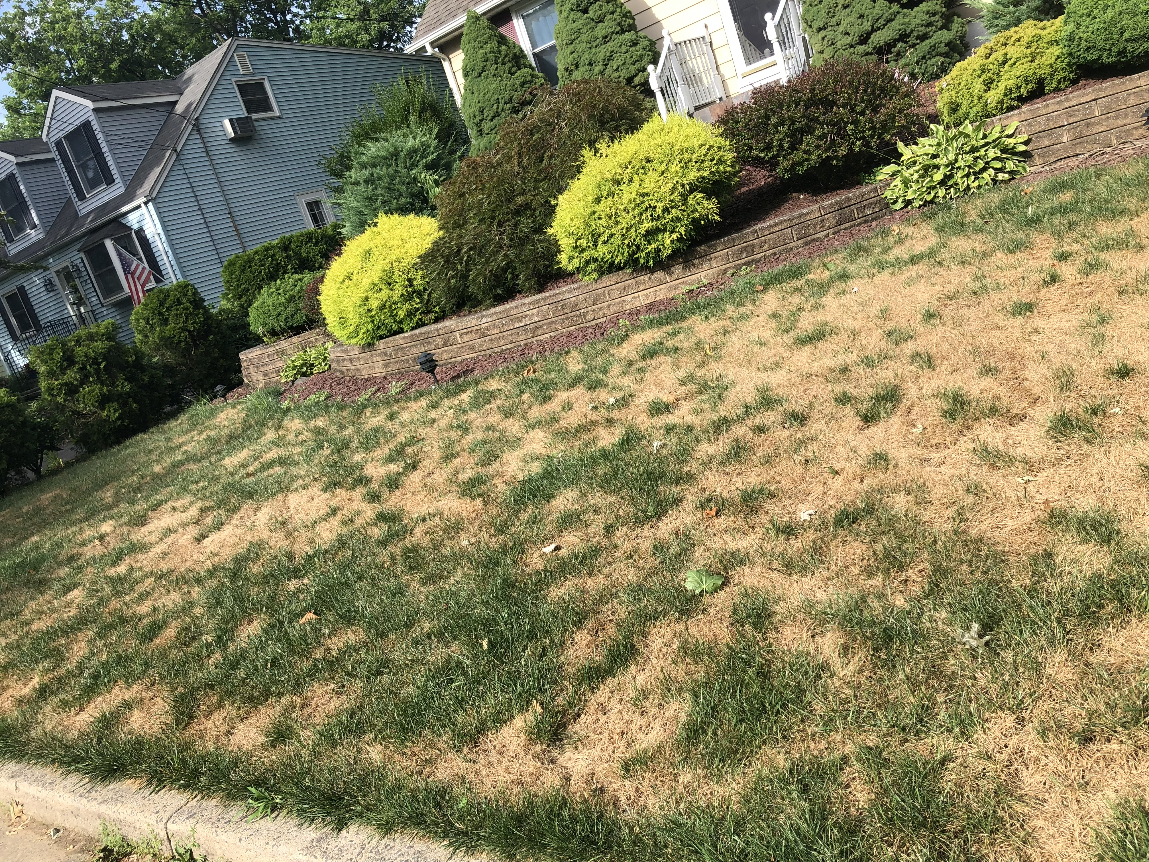 Residential front lawn with widespread tan and brown patches of dead grass across a sloped yard.